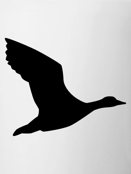 Gans