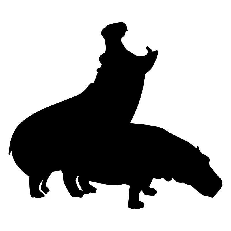 Hippopotame