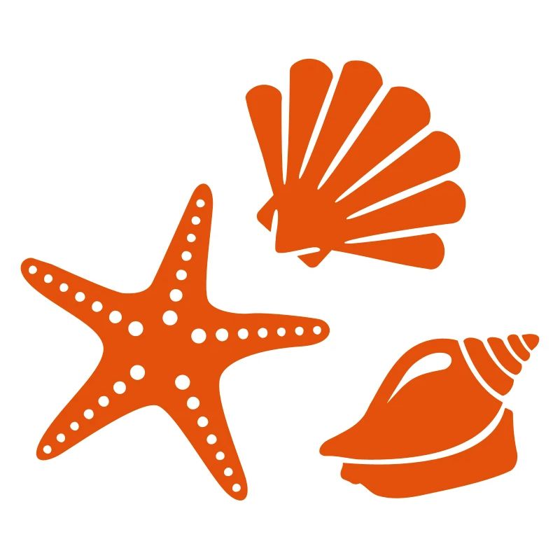 Shell