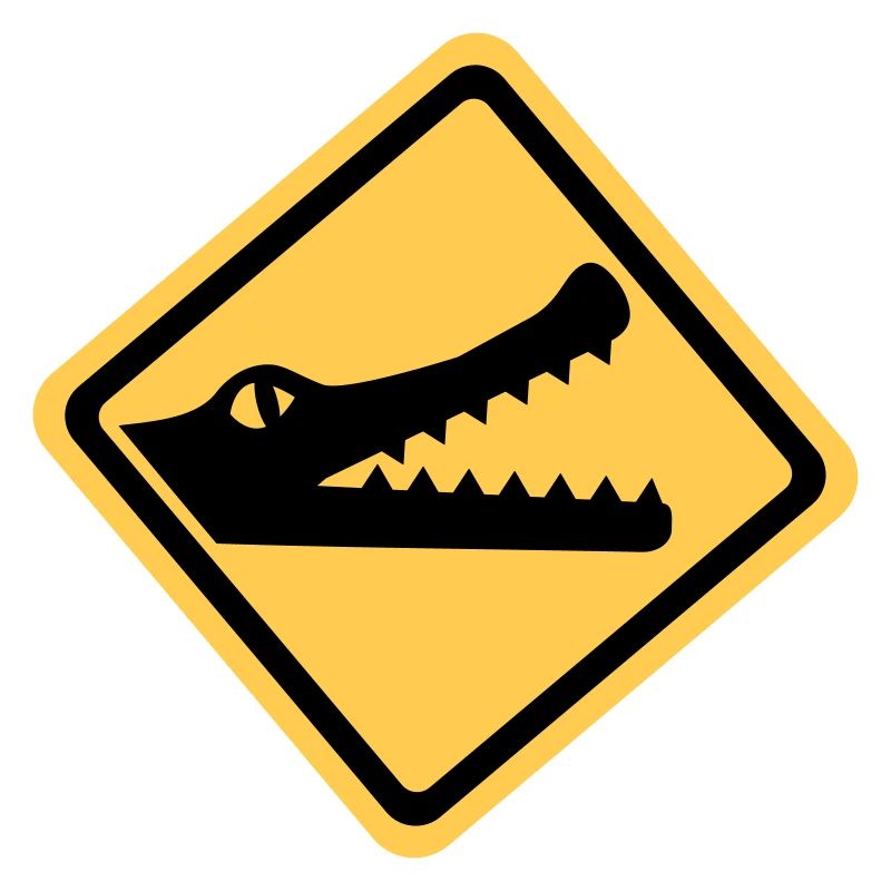 Crocodile