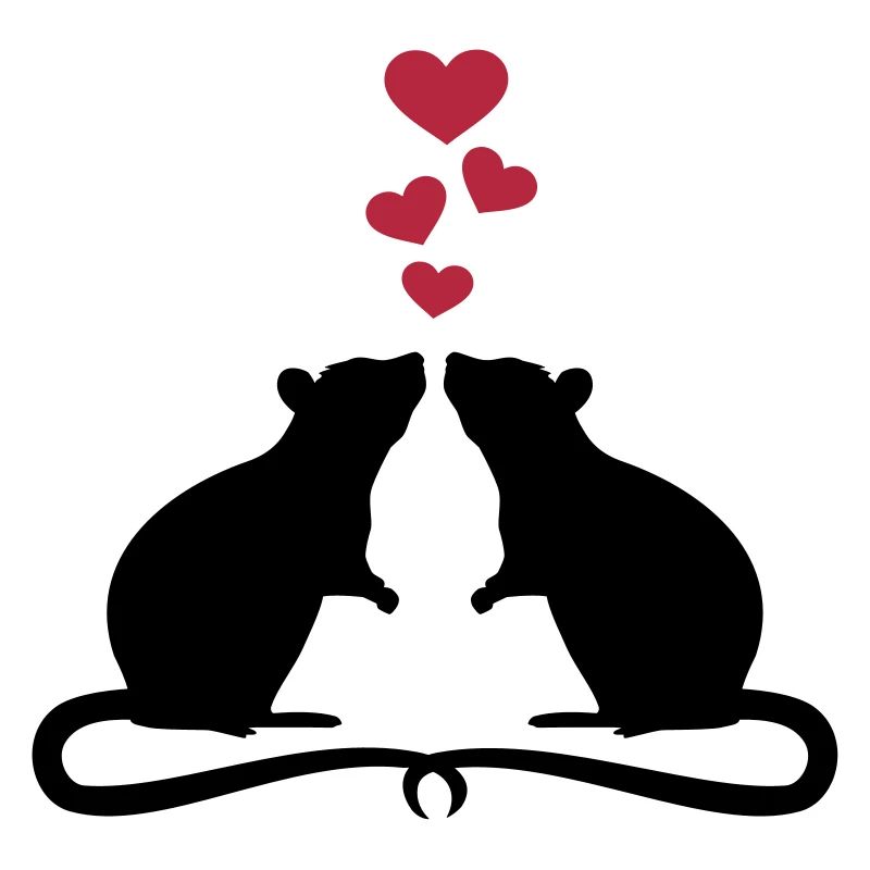 Rat