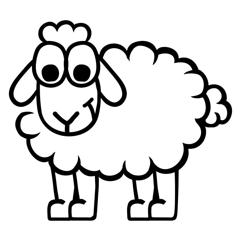 Sheep