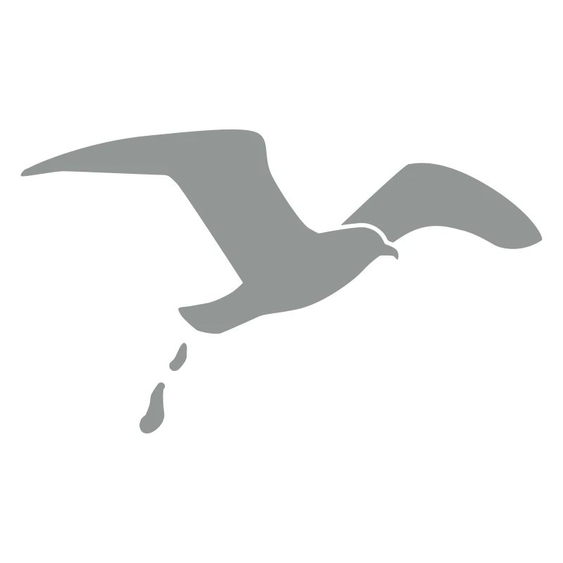 Möwe