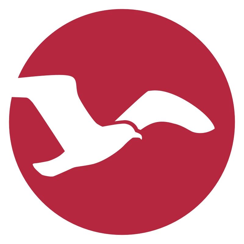 Möwe