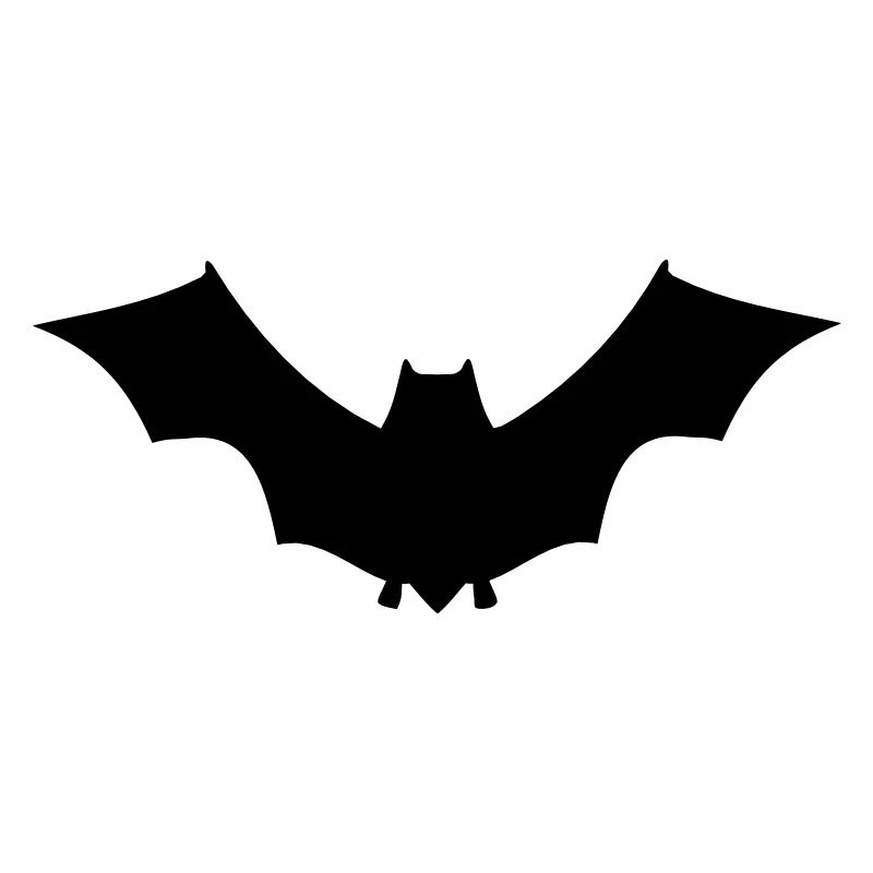 Fledermaus