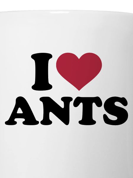 I love Ants