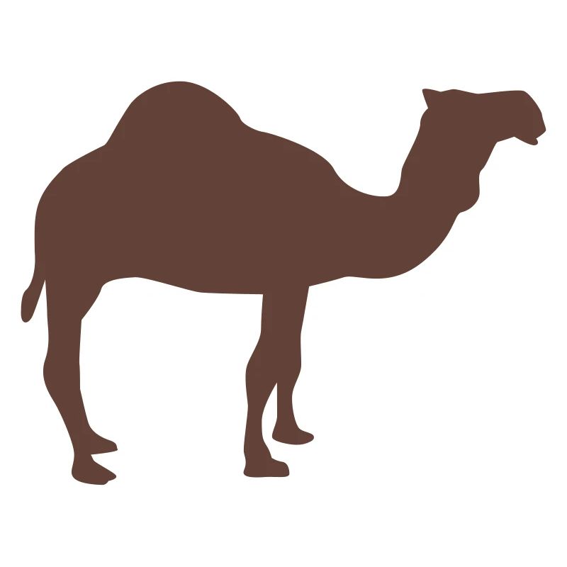 Camel