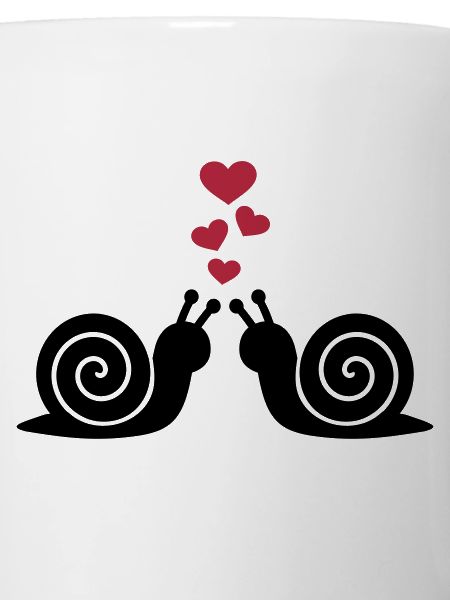 Schnecke