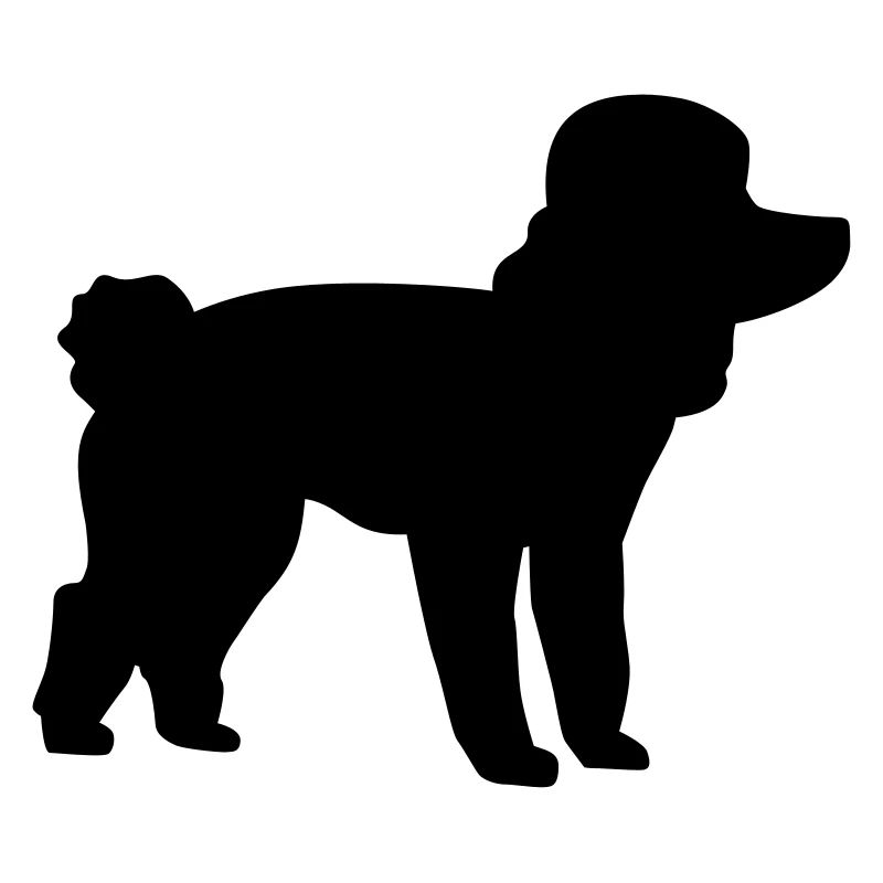 Poodle