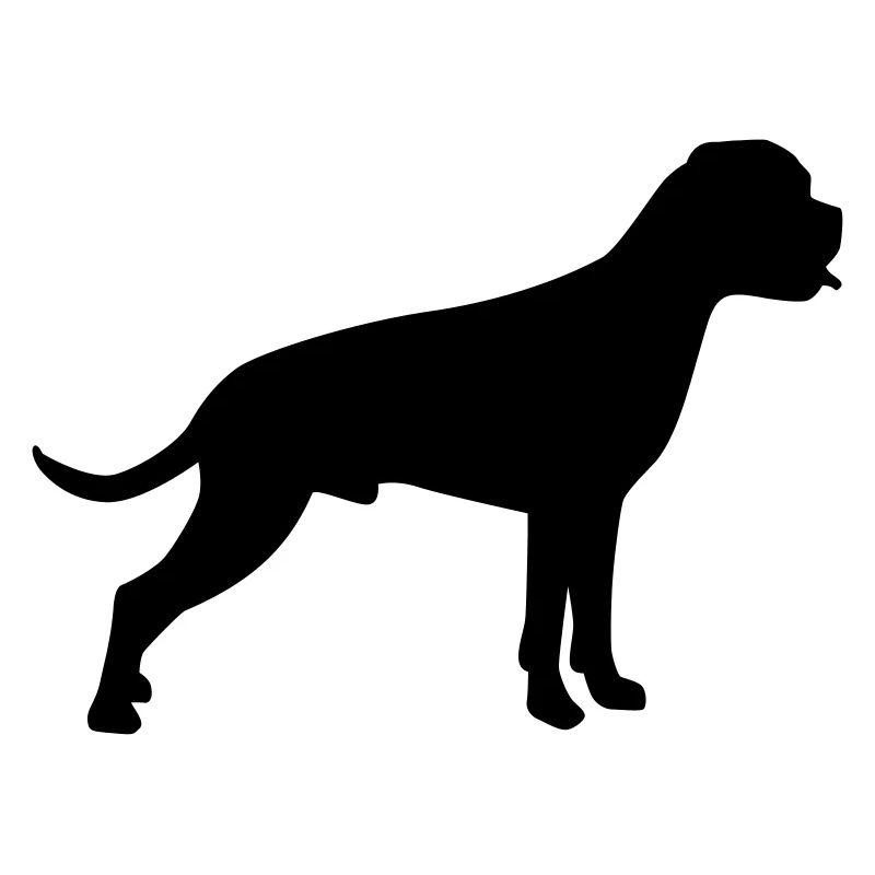 Boxer