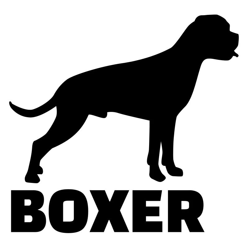 Boxer