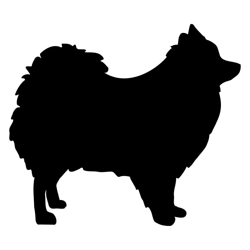 Spitz