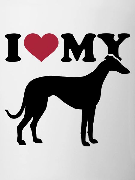 Whippet