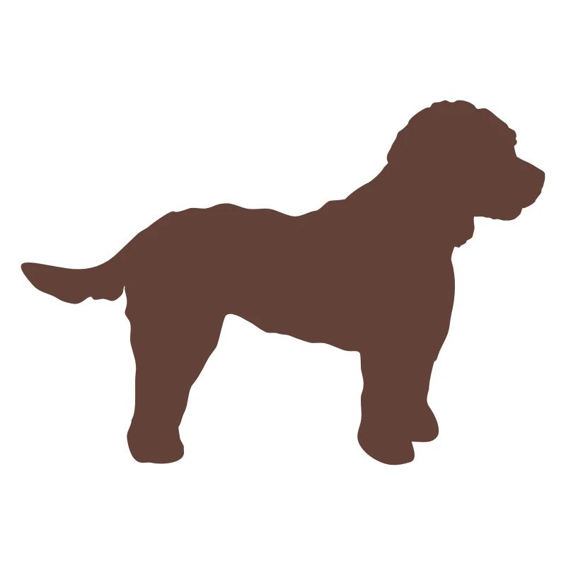 Cockapoo