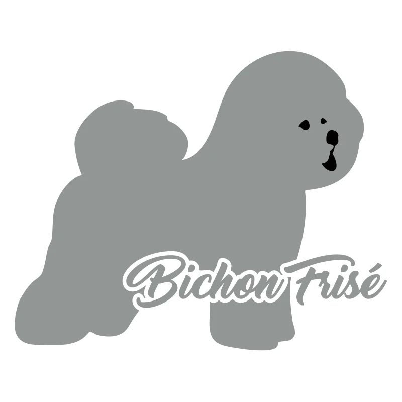 Bichon Frise