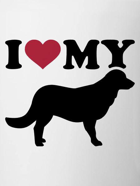 Flat Coated Retriever