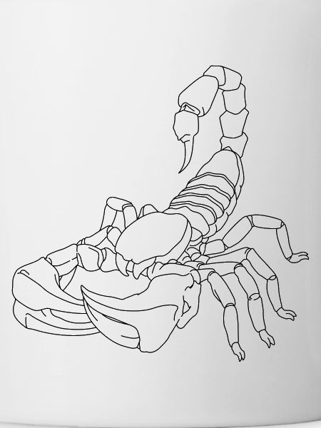 Scorpion lines
