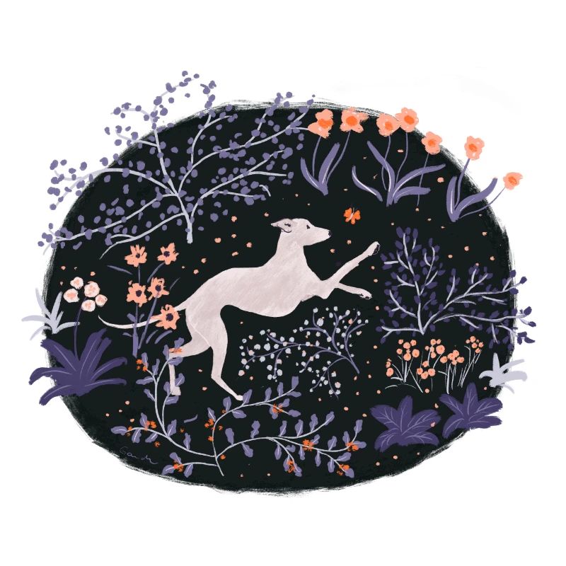 Greyhound dans la forêt de rêve