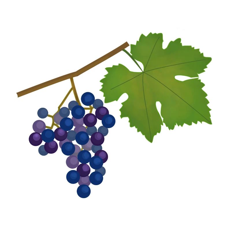 Grape, vine, autumn