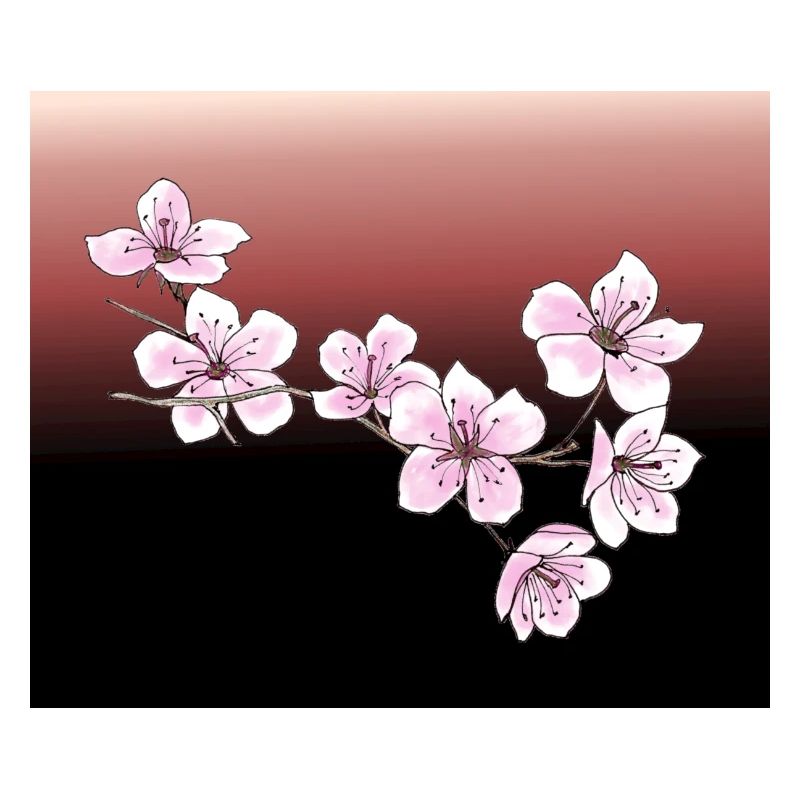 Cherry blossoms