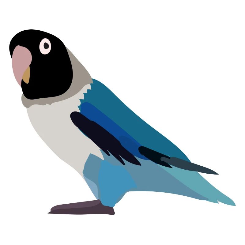 Parrot black blue