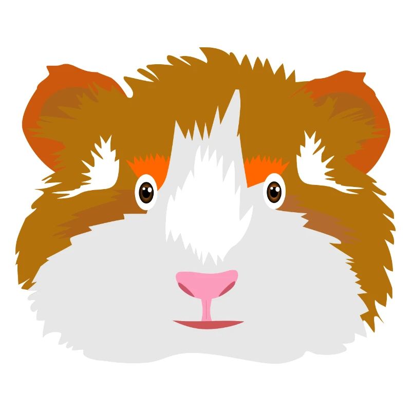 Guinea pig