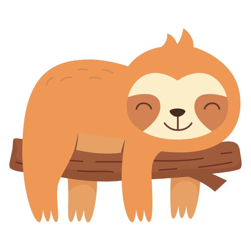 Tired sloth