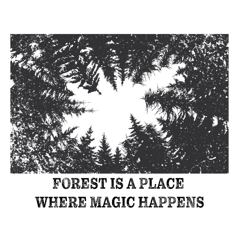 Magic Forest