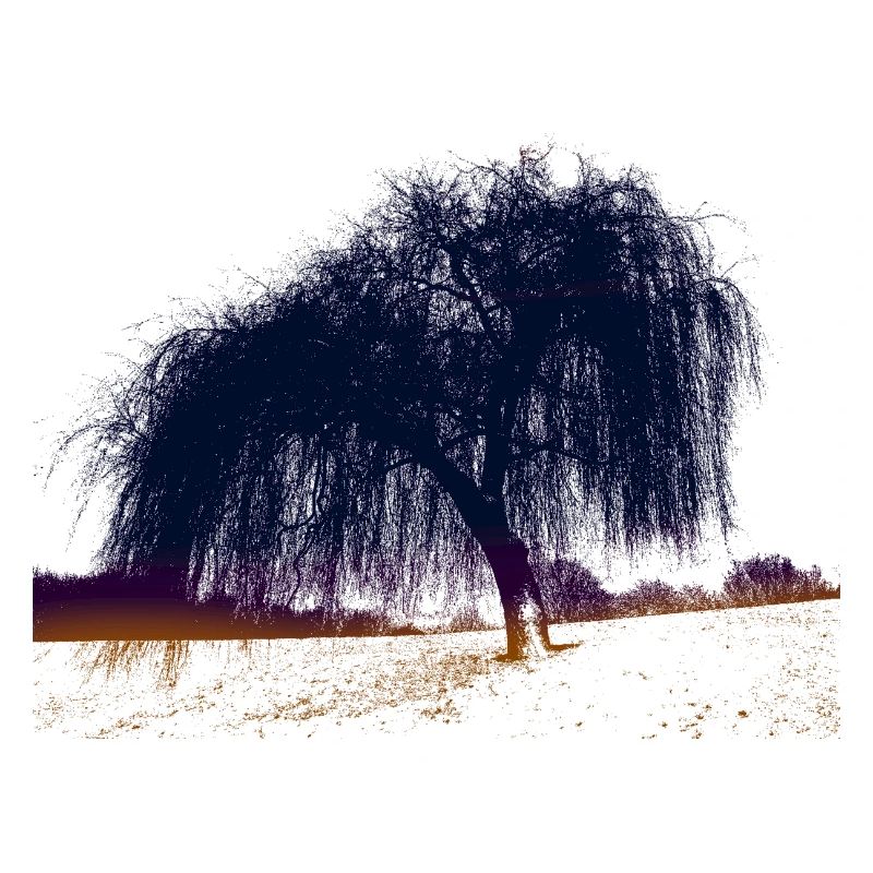 trauerweide Artistic