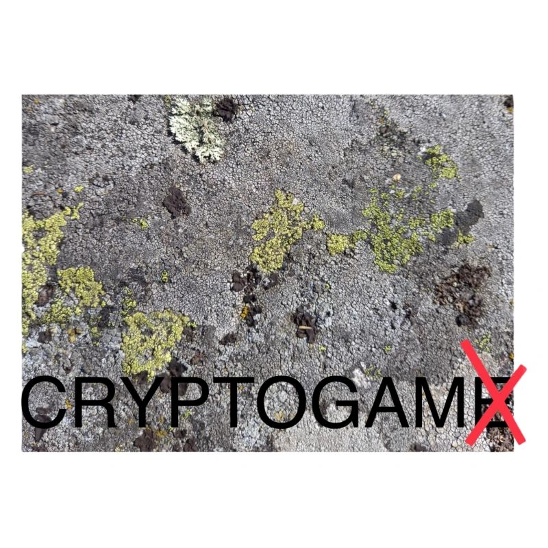 Cryptogam - kein Kryptospiel