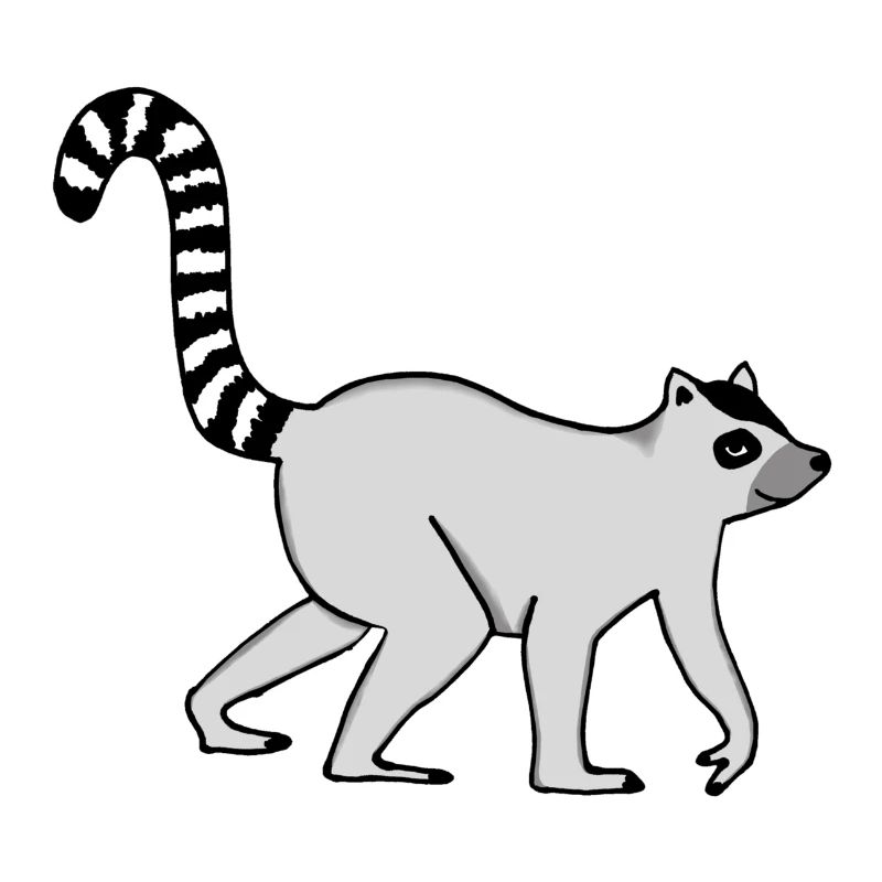 Katta - Catta - Lemur - Kattas - Affe - Lemuren -