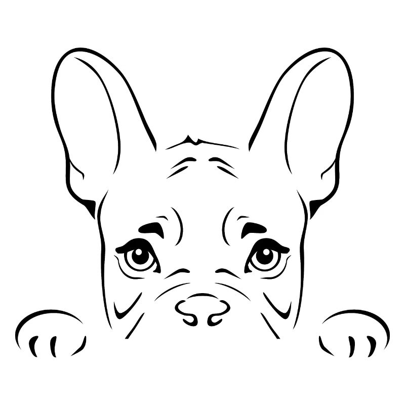 Coup d’œil sur le bouledogue français