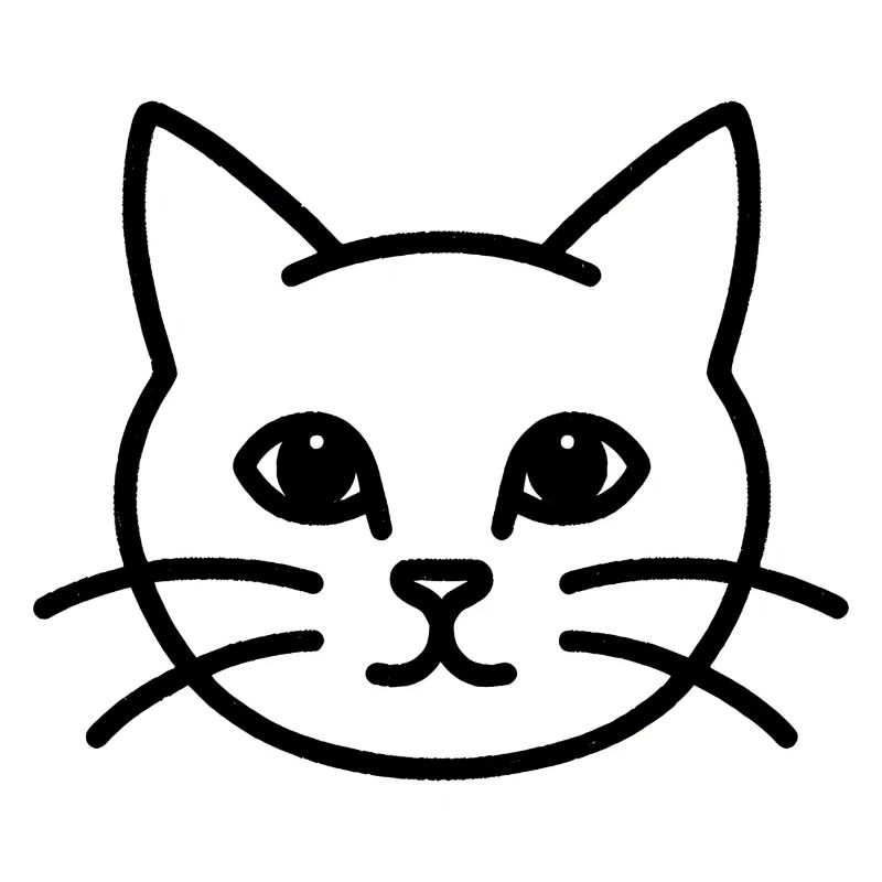 Chat Chat Chat