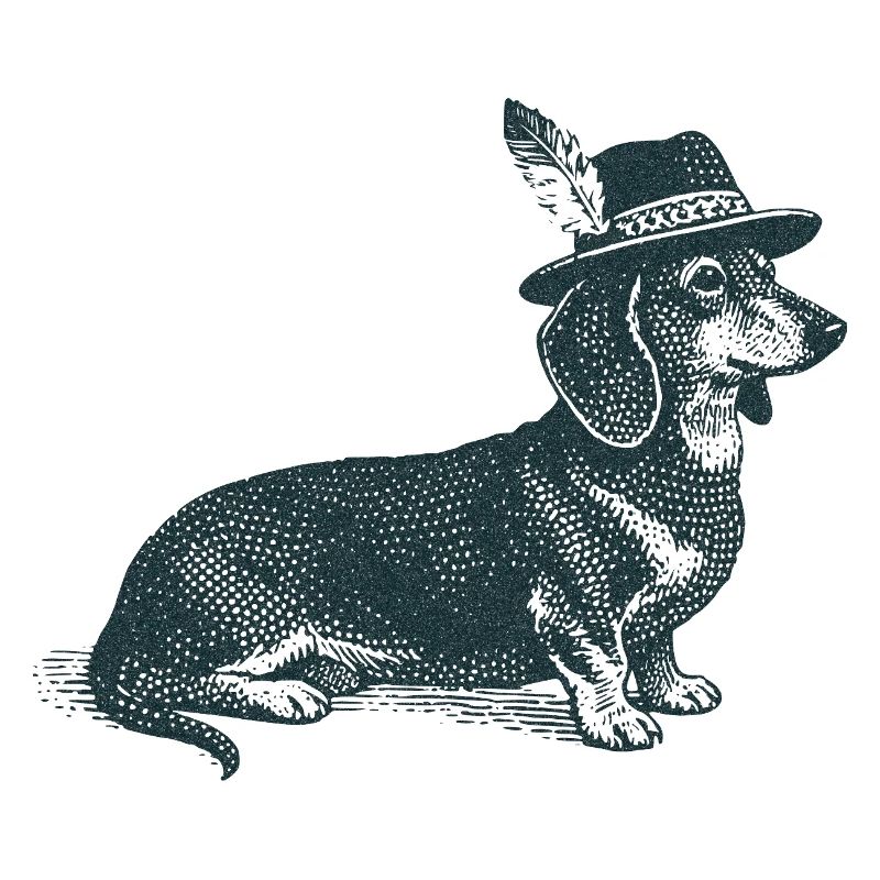 Teckel avec chapeau