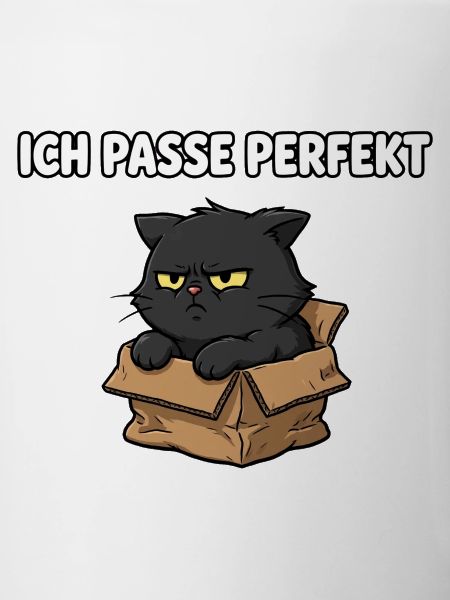 Grimmige Katze im Karton