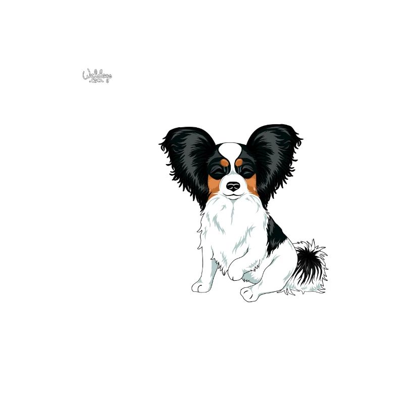 diamondpapillon3