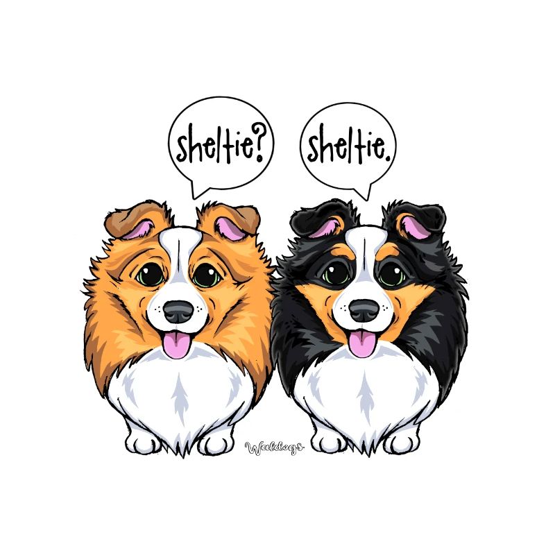 Sheltie Sheltie