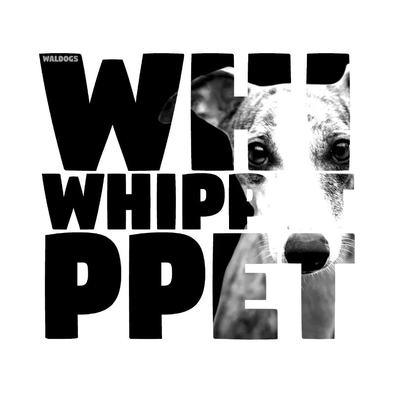 NASSU Whippet BlackW