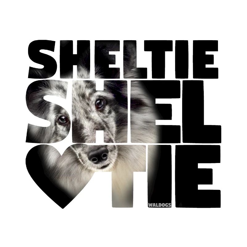 NASSU Sheltie 06