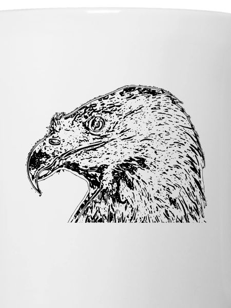 aigle