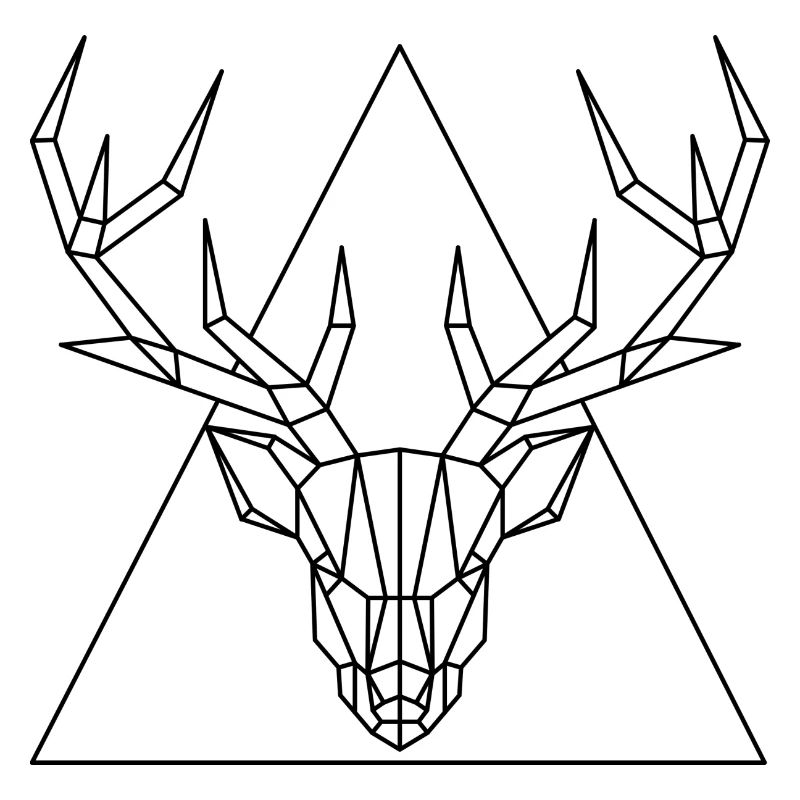 Hirsch Geometrisch