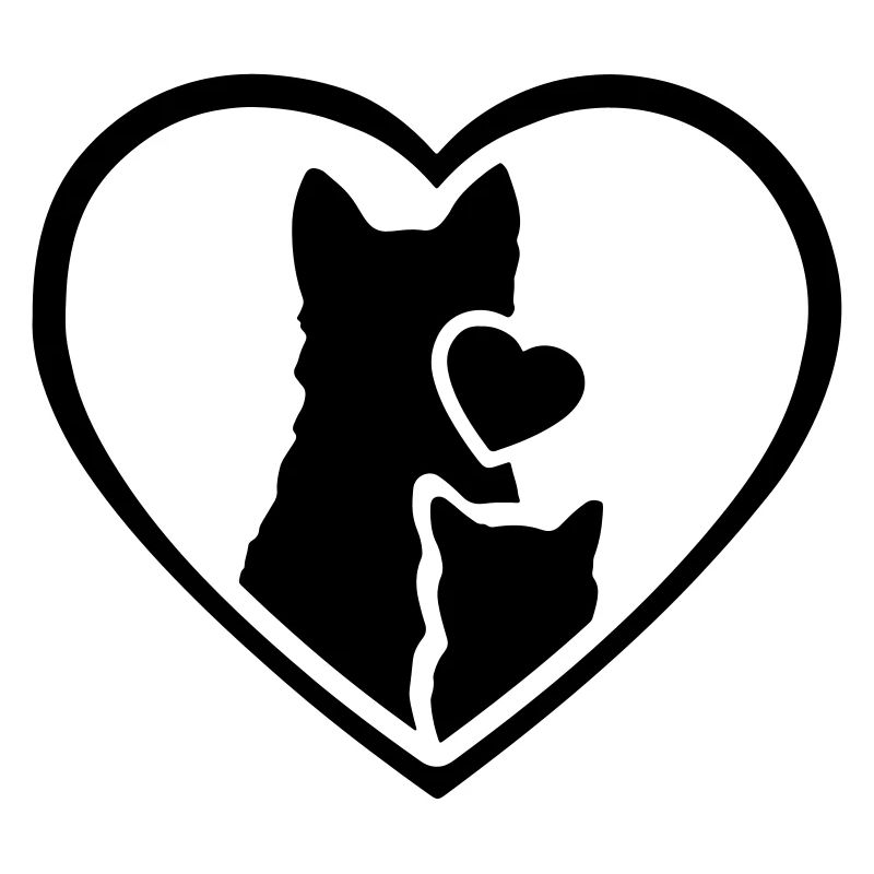 chat et chien ensemble ♥ chien et chat ensemble