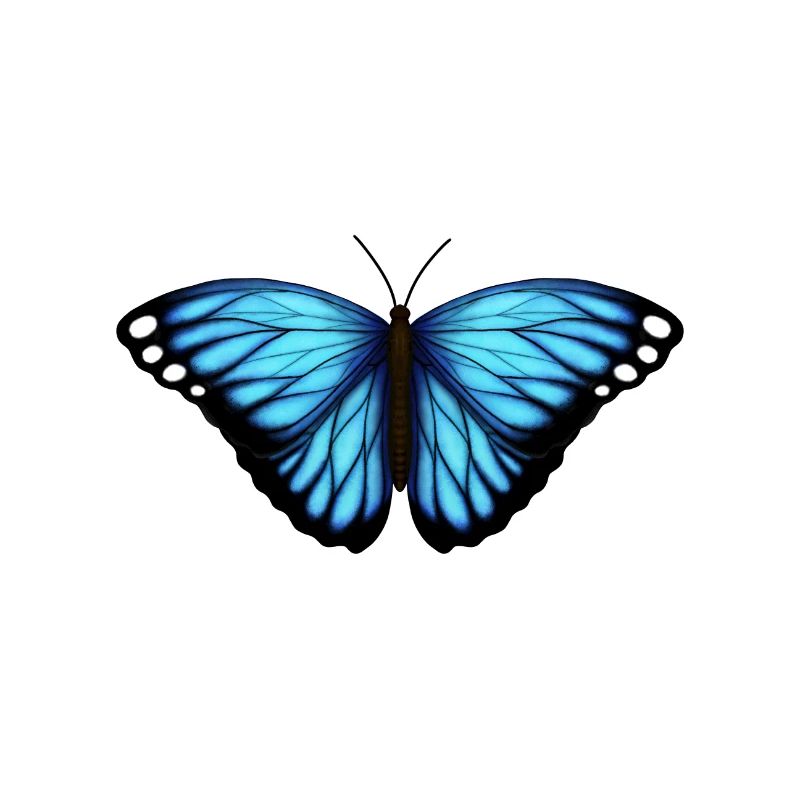 blauer Schmetterling