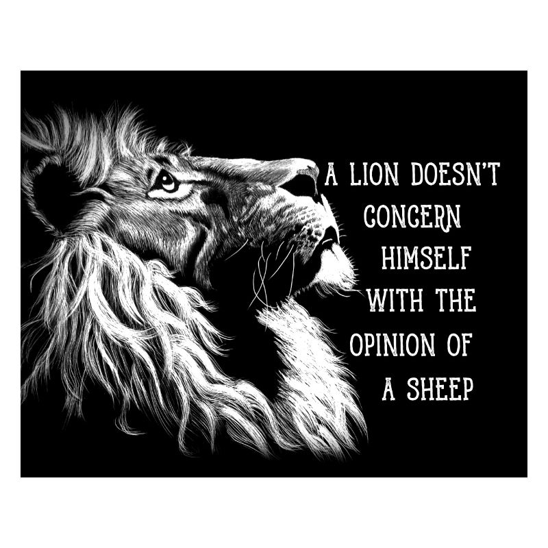 A Lion Doesn't Care