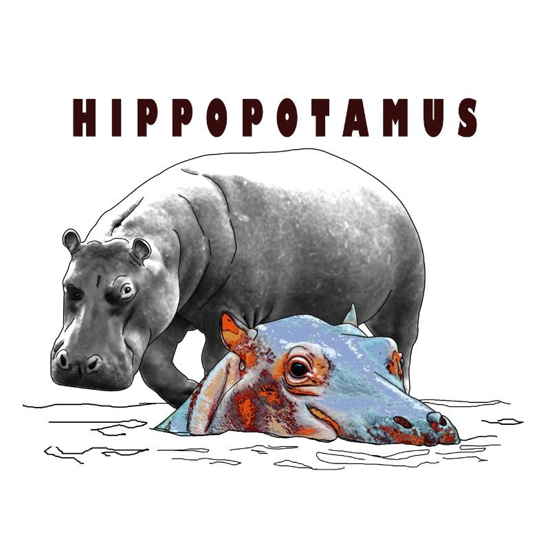 Hippopotamus, Flusspferd