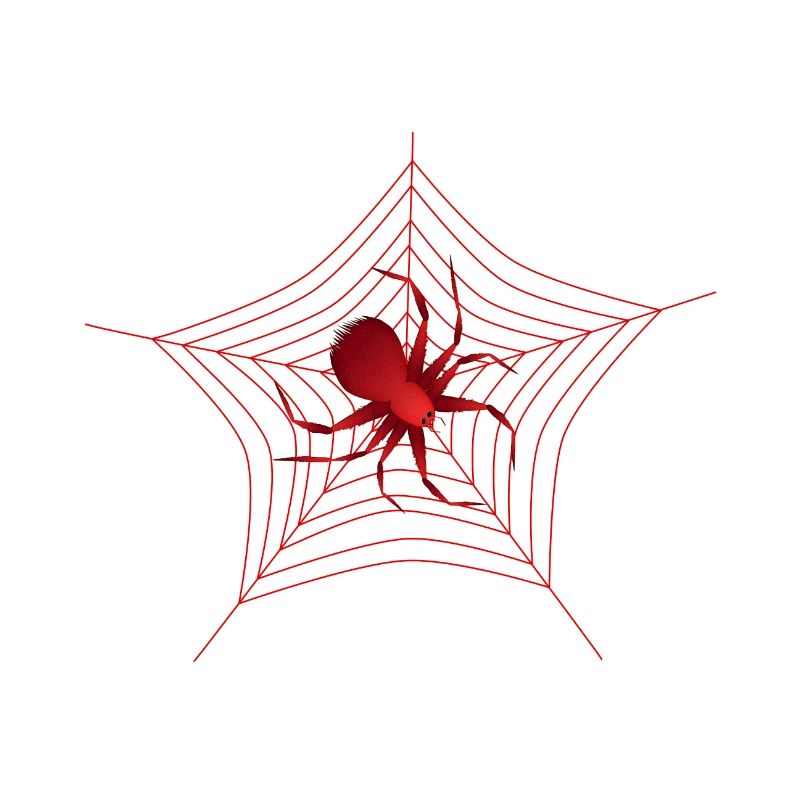 Spinne im Spinnennetz rote Spinne große Spinne