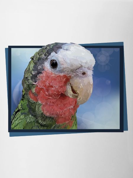 The Cuban Amazon