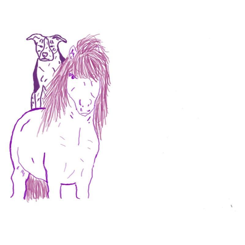 Cheval et chien