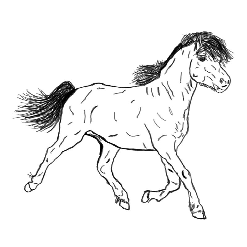 Cheval