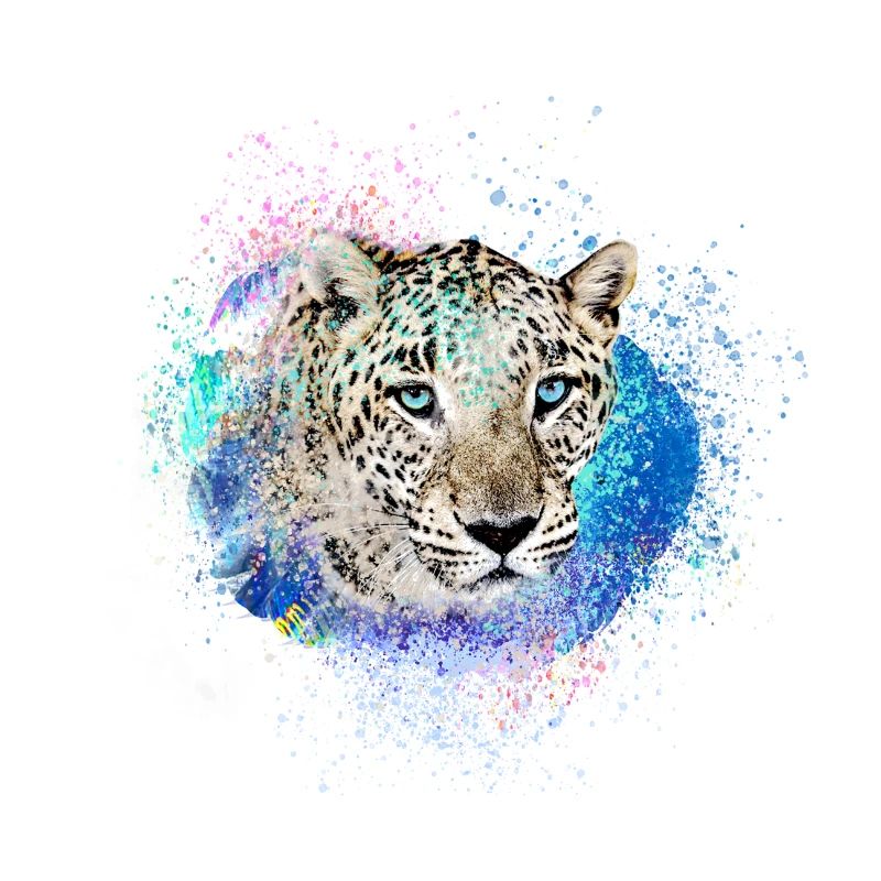 jaguar,wildcat,leopard,graffiti,colorful